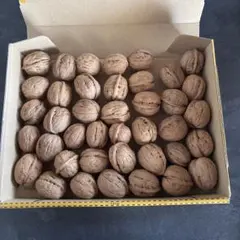 国産くるみ 殻付き 500g