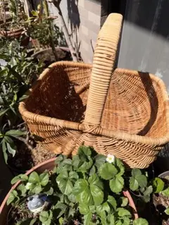 籐製ハンドル付き 大きなバスケット