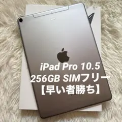 【完動品】iPad Pro 10.5 256GB SIMフリー【すぐ発送】
