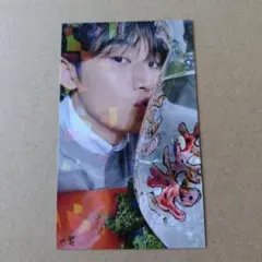 SEVENTEEN セブチ 消費期限 ミンギュ ユニバ