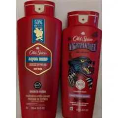 2026年最新】オールドスパイス アクアリーフの人気アイテム - メルカリ