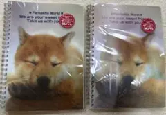 Item thumbnail for item 82ae9e45-a68b-4281-8f6f-2015f416f044