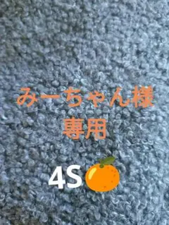 みーちゃん様専用