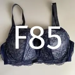 F85 ウイング/ワコール　レシアージュ　ブラジャー PB1001