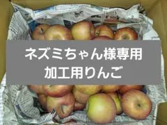 【ネズミちゃん様専用g6】加工用りんご
