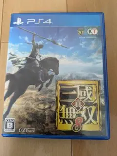真・三國無双8