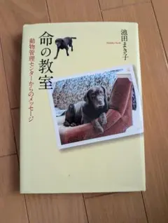 Item thumbnail for item 3c54fcfa-fe05-466e-a772-878d1e27aee6