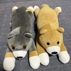 ナムコ限定 ぽにゃいぬ BIGぬいぐるみ 2種セット コンプリート