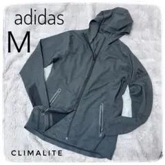 Item thumbnail for item 42fb8183-7a56-4479-ad29-13883df377e9