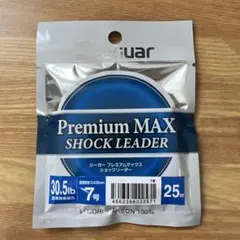 Item thumbnail for item 66658fee-5366-4520-beac-084bba7c53ea