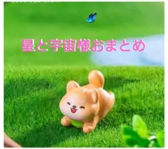 星と宇宙様おまとめ