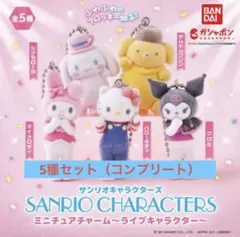 サンリオキャラクターズ ミニチュアチャーム　コンプリートセット