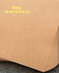 Item thumbnail for item 5b3e7fb3-dc26-43a9-8998-d9dbd40afd5f