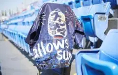 東京ヤクルトスワローズスワサマ2025限定法被【非売品・新品未使用・未開封】