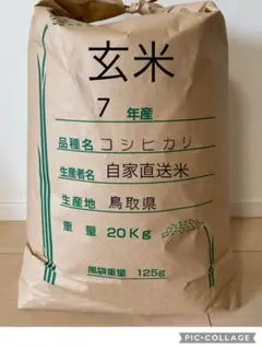 《玄米》 農家直送米　20kg 令和7年　鳥取県産 コシヒカリ《玄米》