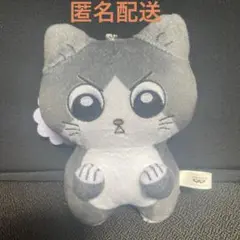 ねこに転生したおじさん　プンちゃん　ぬいぐるみ