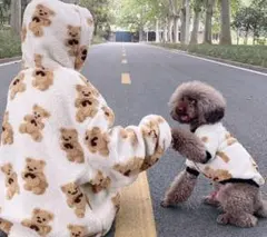 Mサイズ ホワイトカラー くまさん柄ペット服  ジャンパー 防寒服