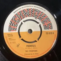 Garnet Silk Jr - Promise レゲエ7インチ - メルカリ
