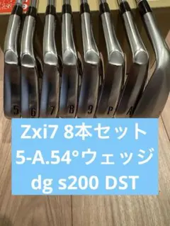 超人気】スリクソン ZXi5 アイアン 6本セット DG105黒 ステルス仕様