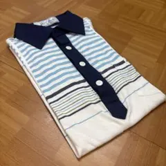 【Jesse C. Snead】ポロシャツ メンズ M 白 ボーダー 水色