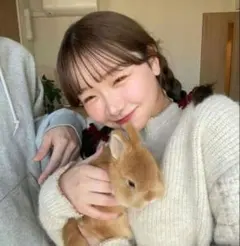 ollun チェックデザインニットプルオーバー