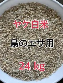ヤケ白米　２４kg　鳥の餌　エサのサムネイル