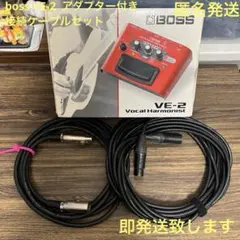 即発送 BOSS VE-2 Vocal Harmonist シールドセット - メルカリ