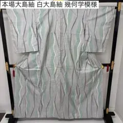 M*.様 本場大島紬 白大島紬 幾何学模様 上品な色味 正絹AK-8736