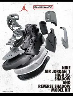 JORDAN １SHADOW AND REVERSE SHADOW KIT