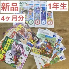 チャレンジ5年生 テキスト1年分 美品 - メルカリ