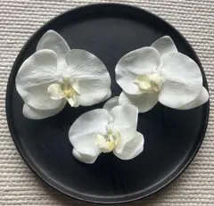 胡蝶蘭 髪飾り ヘッドドレス 白 ホワイト 前撮り 和装 成人式 結婚式