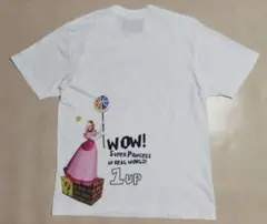 Item thumbnail for item 7526d354-43e5-4525-b3d4-9af1219fff7a