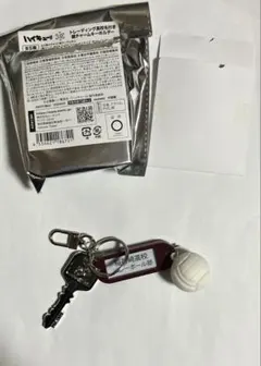 稲荷崎 高校名付き鍵チャームキーホルダー ハイキュー 北信介 宮侑 キーホルダー