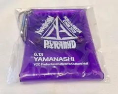 Novelbright PYRAMIDツアー山梨公演-ジャスティン限定特典のサムネイル