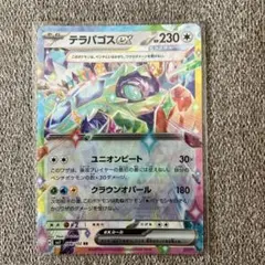 テラパゴスex RR