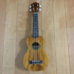 Item thumbnail for item 06813d1e-a7eb-4ef6-ba06-07bb34f7ab07