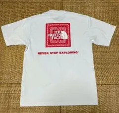THE NORTH FACE Tシャツ ホワイトボックスロゴバンダナのサムネイル
