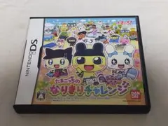 DS たまごっちのなりきりチャレンジ
