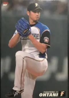 ☀️大谷翔平 プロ野球チップス 2014 二刀流 北海道日本ハムファイターズ投手