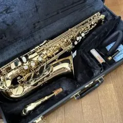 新品 未使用 送料無料 アルトサックス 初心者セット 新品 未使用 送料無料 アルトサックス 初心者セット