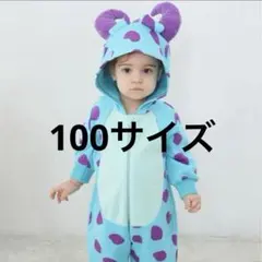 サリー　コスプレ　100サイズ 即日発送！