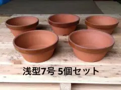 テラコッタ植木鉢 浅型7号5個セット 駄温鉢 昭和レトロ 素焼き鉢のサムネイル