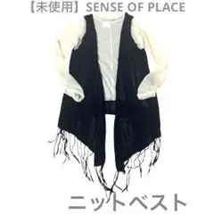 【美品】SENSE OF PLACE ネイビー ニット　ベスト フリンジ　ジレ
