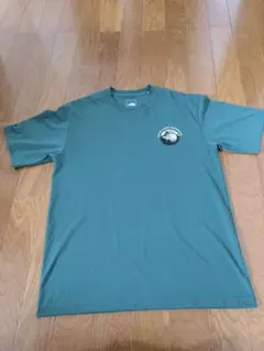 The North Face グリーン Tシャツ