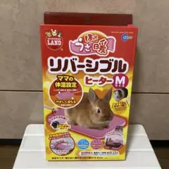 Item thumbnail for item f0945f70-a531-4ed6-b699-1057b5b0a8db