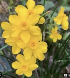 めだかちゃん様 リクエスト 2点 まとめ商品