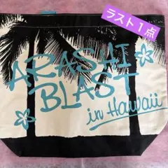 【未使用】嵐 Blast in Hawaii グッズ トートバッグ＋マステ赤・緑