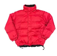 90's old gap down jacket gimmick tech