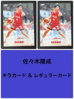 Item thumbnail for item 6c820a15-bef6-44d2-8c83-d18923e64365