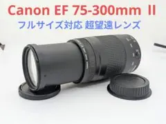 8月4日限定特価♪【超望遠レンズ】Canon EF 75-300mm Ⅱのサムネイル